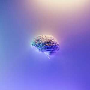 Neuro-Marketing : mieux vendre et améliorer son image